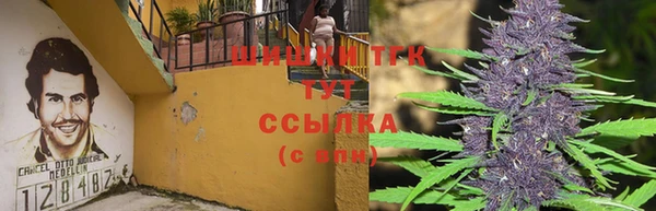 ECSTASY Аркадак