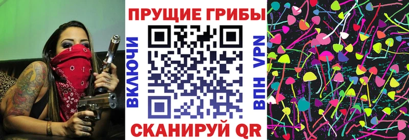 Галлюциногенные грибы MAGIC MUSHROOMS  наркотики  Мурино 
